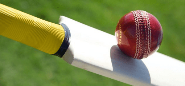 cricket-world-chch-shop-online-featured-cricket-bats-now-new-zealand