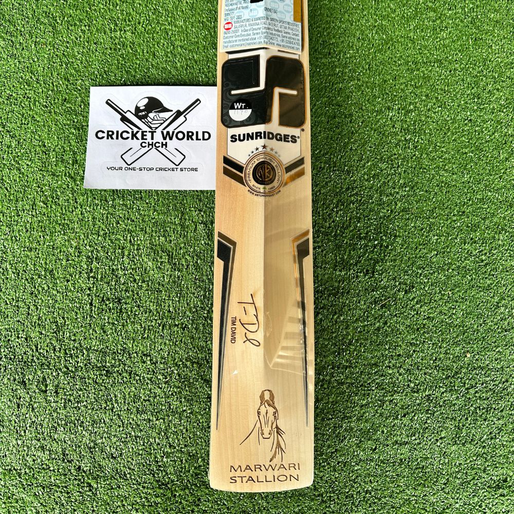 ss-tim-david-player-edition-english-willow-bat-3