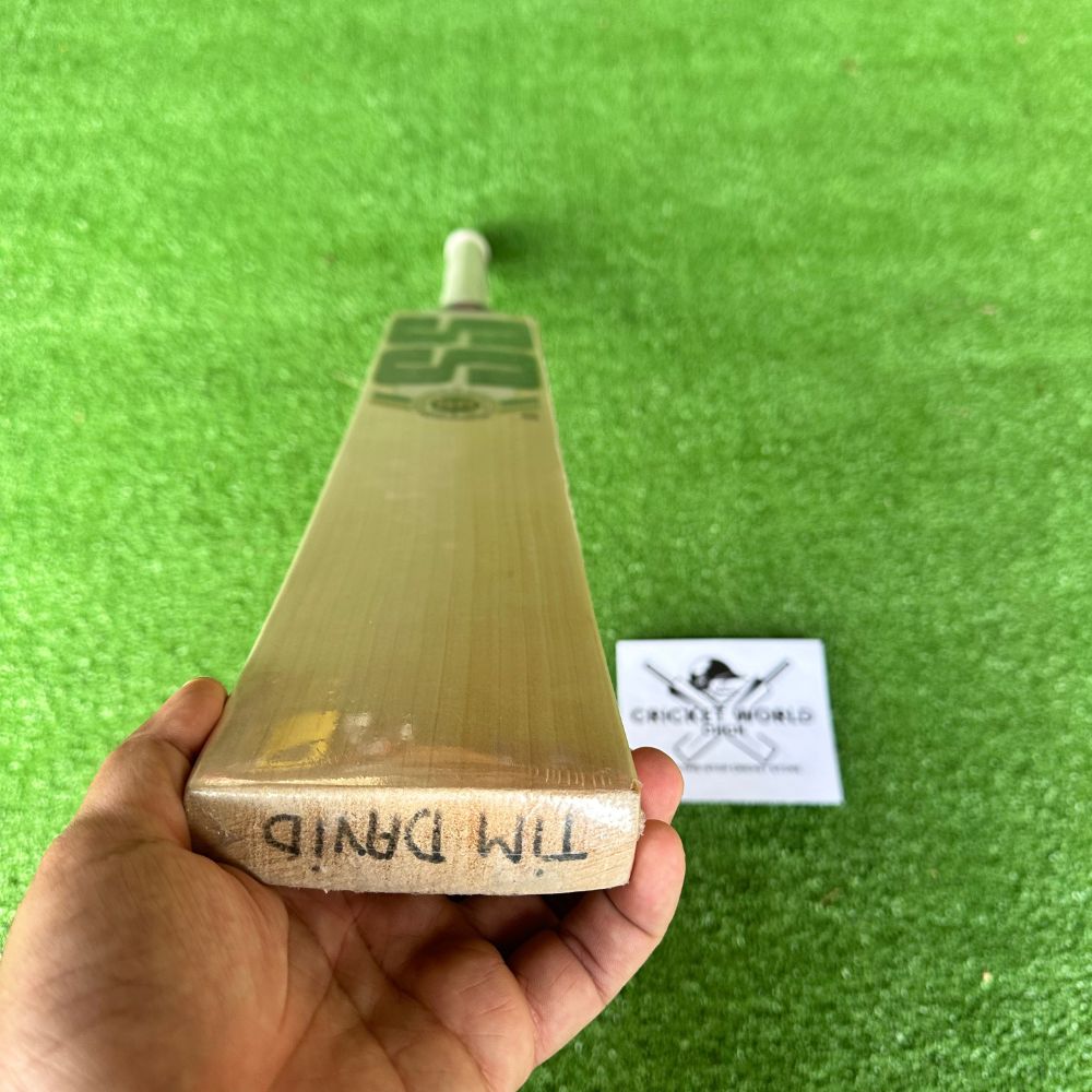 ss-tim-david-player-edition-english-willow-bat-4