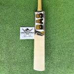 bas-player-edition-grade-1-english-willow-bat-1