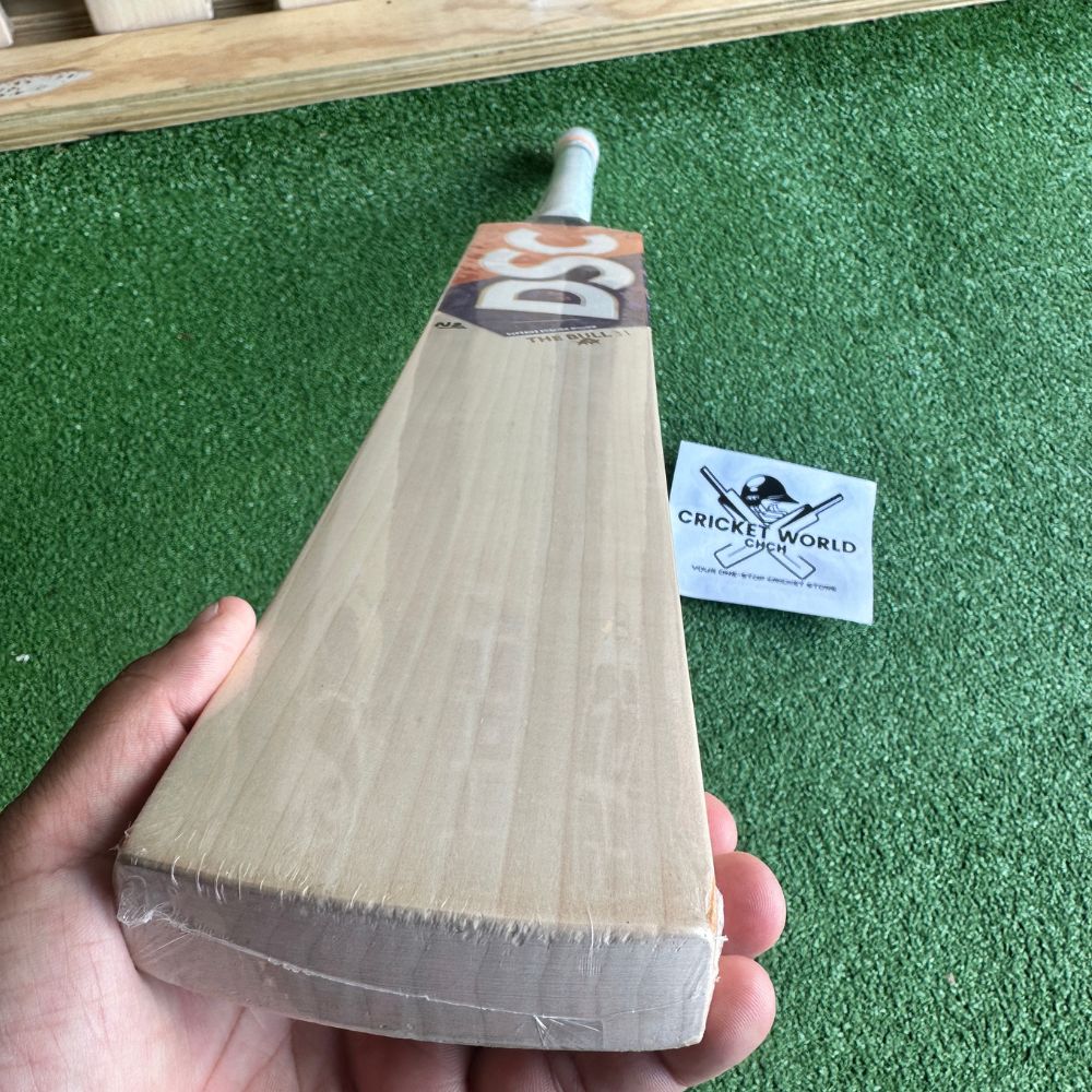 dsc-david-warner-bull-31-player-edition-english-willow-cricket-bat-4