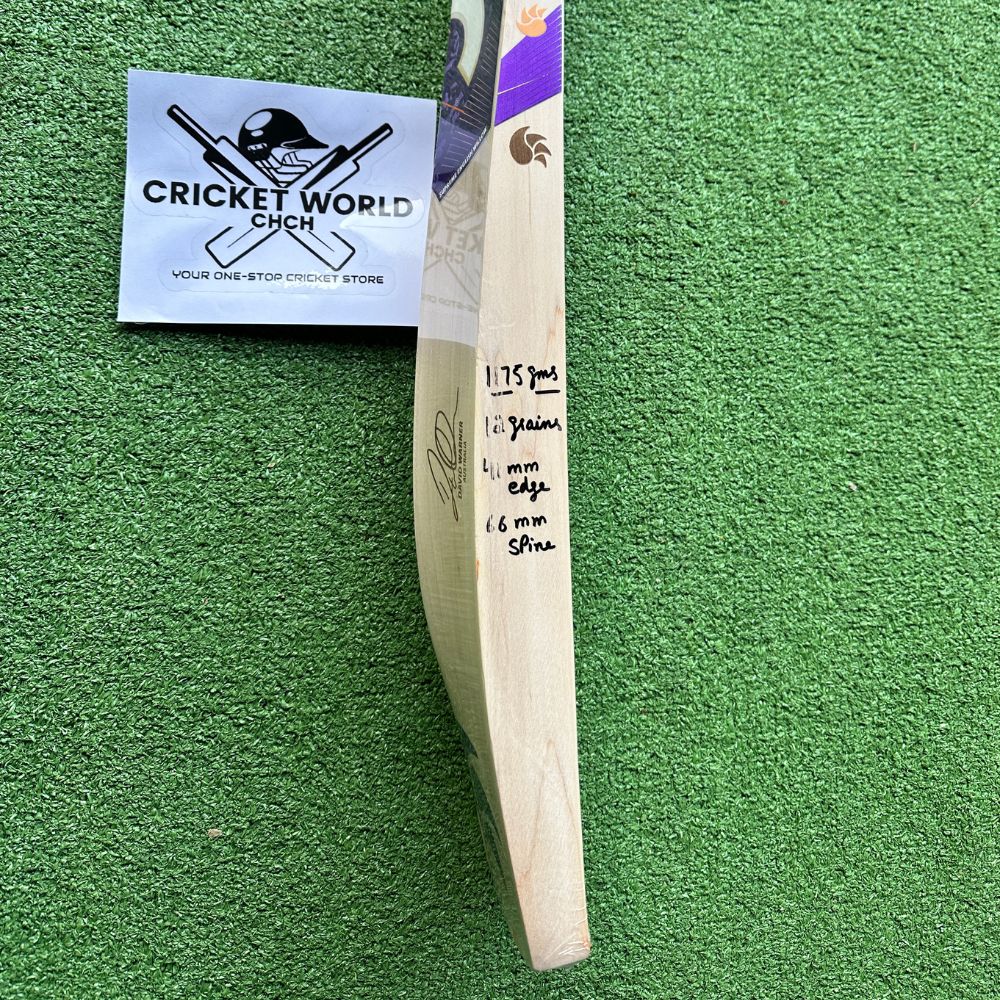dsc-david-warner-bull-31-player-edition-english-willow-cricket-bat-5