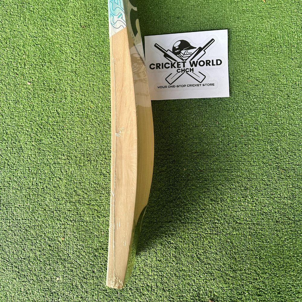 dsc-condor-motion-bat-1-english-willow-cricket-bat-6
