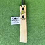 sg-king-cobra-arc-3-0-latest-english-willow-cricket-bat-1
